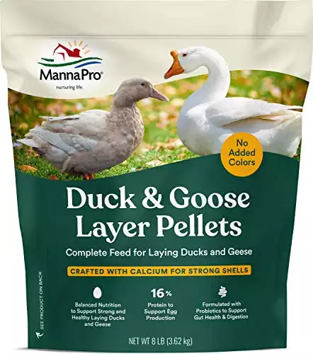 Manna Pro Duck Layer Pellet | High Protein for Increased Egg Production | Formulated with Probiotics to Support Healthy Digestion | 8 Pounds