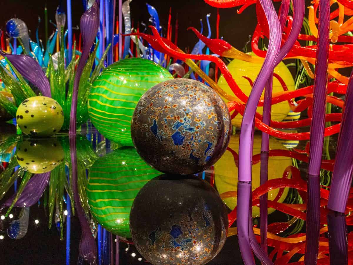 Dale Chihuly's exquisite glass sculptures displayed in a museum in Seattle.