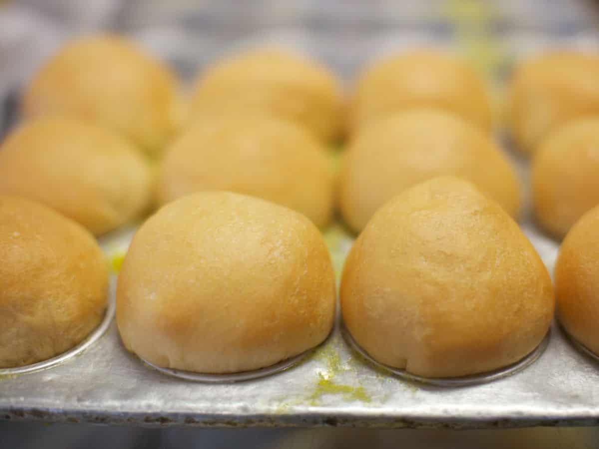 A pan of freshly baked sweet Hawaiian bread rolls.