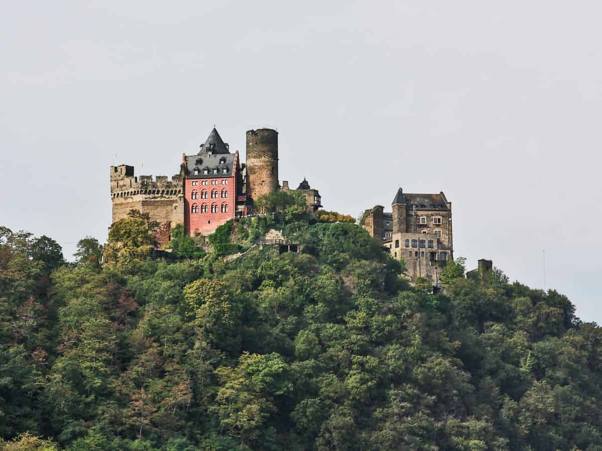 A German castle sits on top of a hill in a forest.