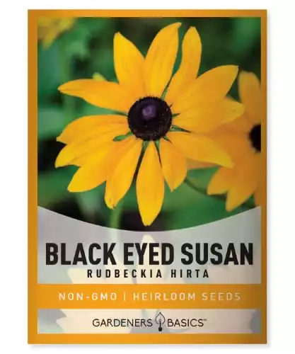 Black Eyed Susan Seeds for Planting - Rudbeckia Hirta Flower Seeds for Cut Flower Gardens Beautiful Yellow and Black Flowers to Grow in Your Garden by Gardeners Basics