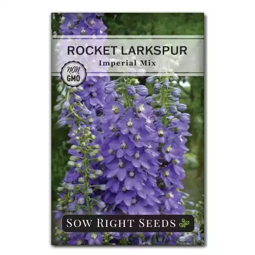 Sow Right Seeds - Rocket Larkspur Imperial Mix Flower Seeds for Planting - Beautiful Flowers to Plant in Your Home Garden - Non-GMO Heirloom Seeds - Annual Great for Cut Flowers - Wonderful Gift (1)