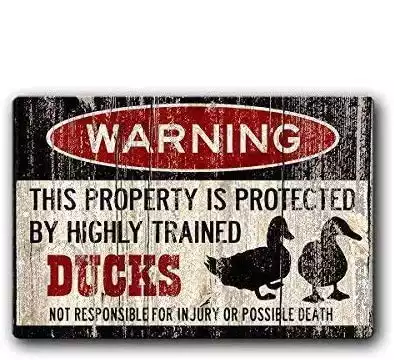 Tin speaking Fashionable Duck Sign,Duck Eggs,Funny Duck Sign Iron Painting 8X12 INCH Metal Tin Sign
