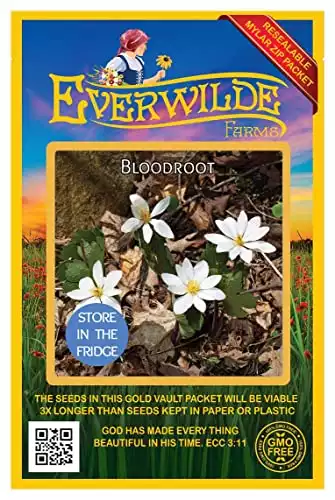 Everwilde Farms - 10 Bloodroot Native Wildflower Seeds - Gold Vault Jumbo Seed Packet