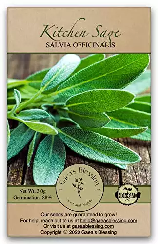 Gaea's Blessing Seeds - Sage Seeds (1.5g) Non-GMO Seeds with Easy to Follow Planting Instructions - Heirloom 88% Germination Rate