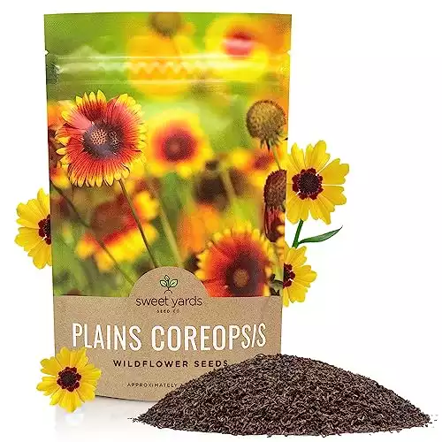 Plains Coreopsis Seeds – Native Flowers – Bulk Quarter Pound Bag – Over 400,000 Open Pollinated Non-GMO Wildflower Seeds – Coreopsis tinctorial