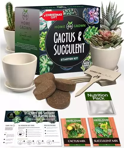 Succulent & Cactus Seed Kit for Planting – [Enthusiasts Favorites] Premium Cactus & Succulent Starter Kit: 4 Planters, Drip Trays, Markers, Seeds Mix, Soil - DIY Gift Kits (Original Edition)