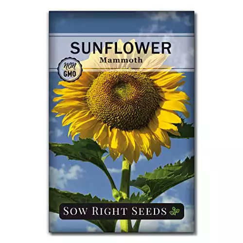 Sow Right Sunflower Seeds