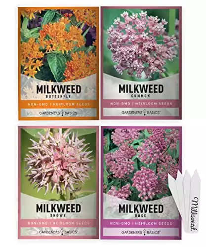 Milkweed Seeds For Monarch Butterflies (4 Variety Pack) Common, Showy, Butterfly and Rose Varieties Attracts Butterflies, Bees and Pollinators Heirloom Flower Seeds Wildflower Seed by Gardeners Basics