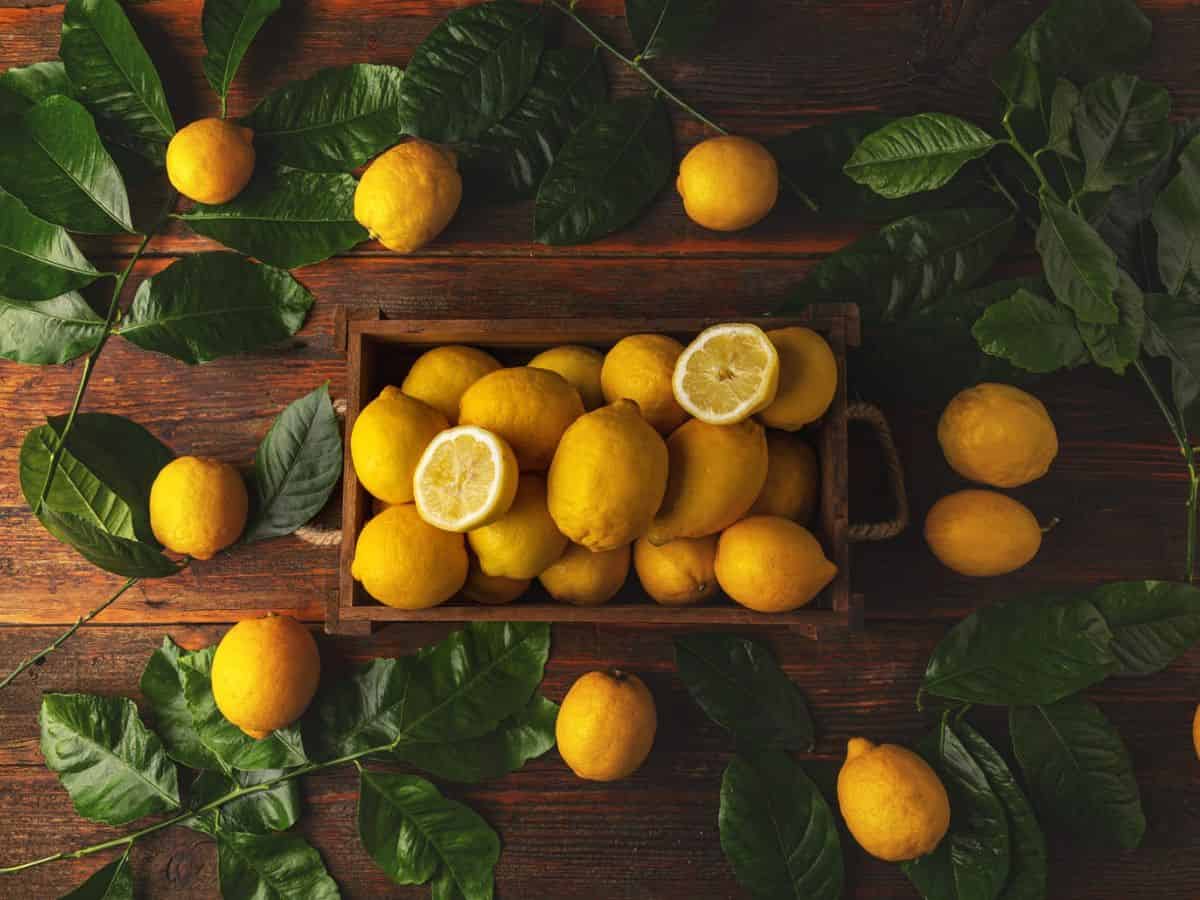 Lemons on a wooden table.