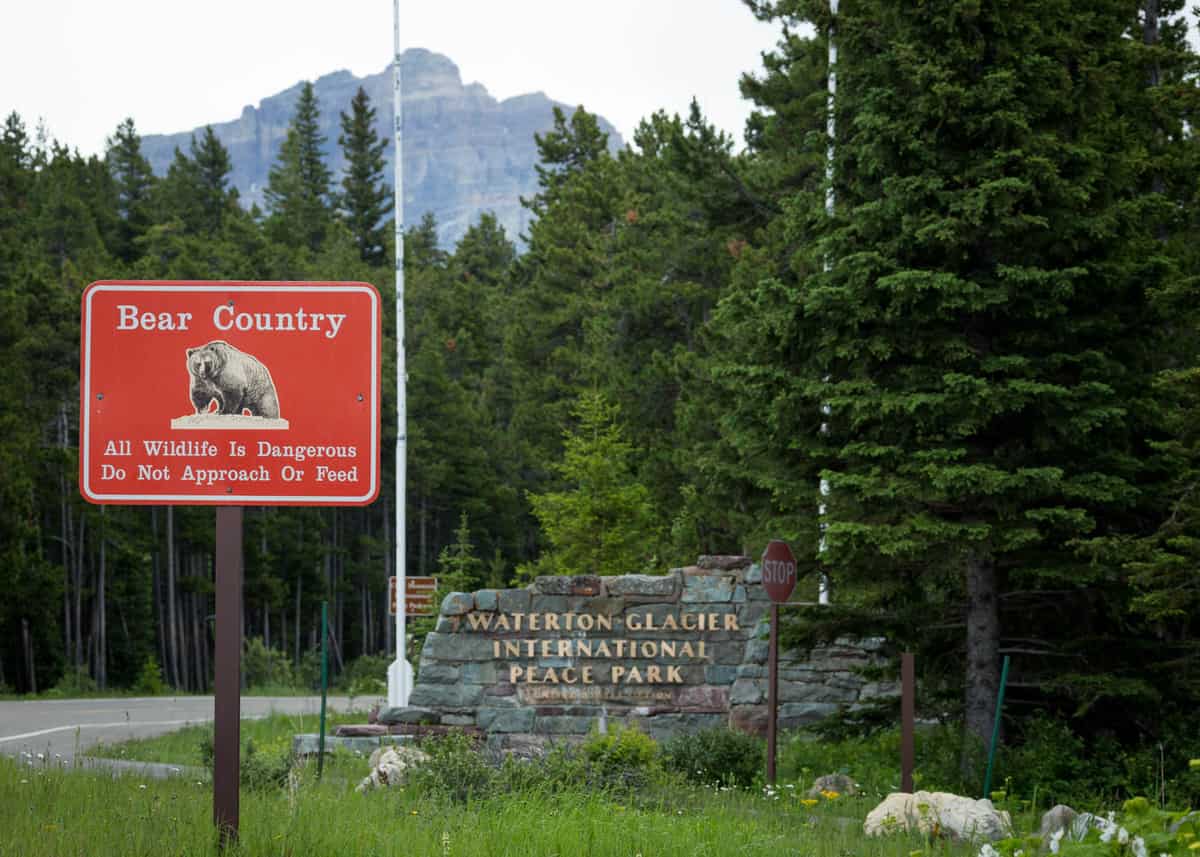 A sign at the entrance to Bear Country National Park, displaying interesting facts about Montana.