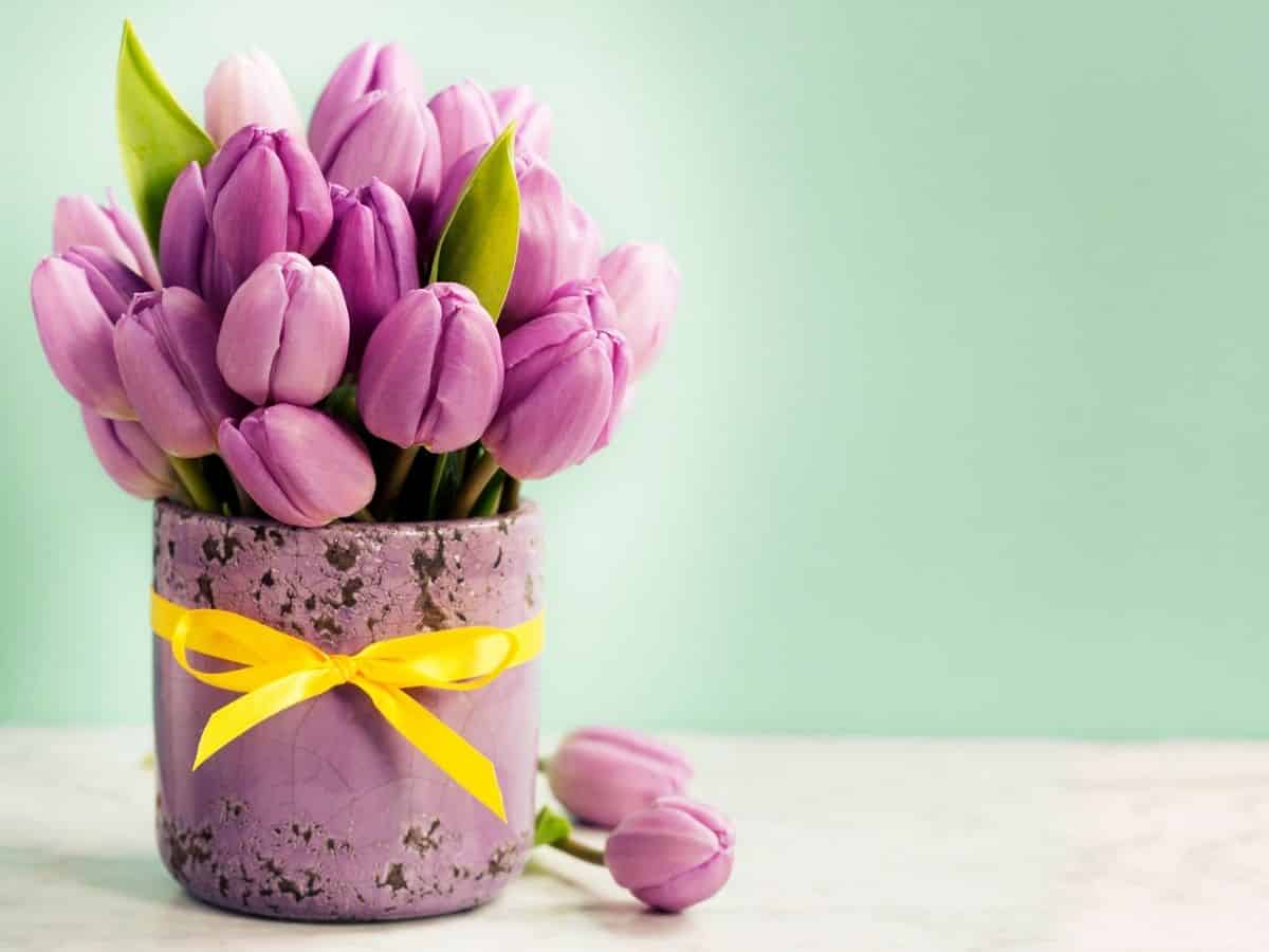 Vibrant purple tulips in a vase on a table.