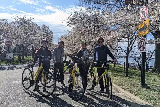 Cherry Blossom Bike Tour in DC