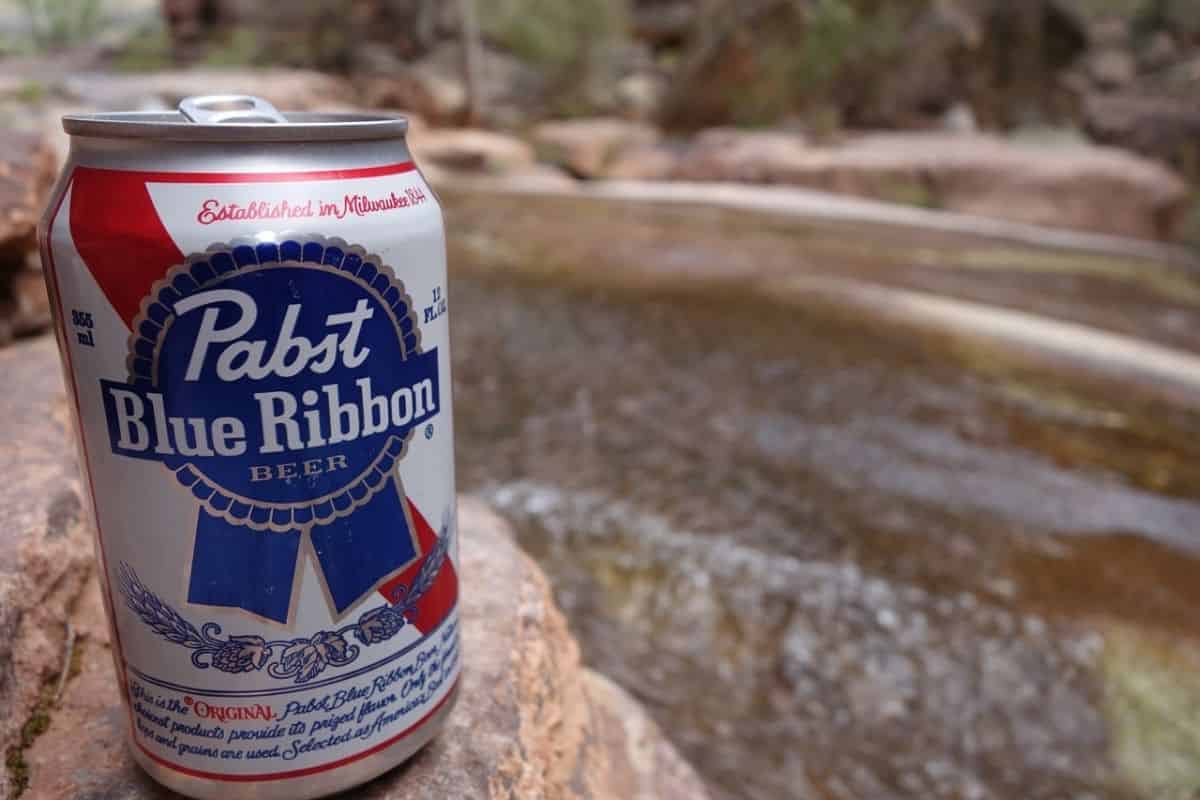 A can of blue ribbon beer sits on a rock.