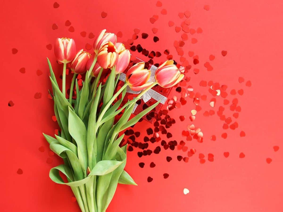 A bouquet of tulips on a red background with heart cut-outs.