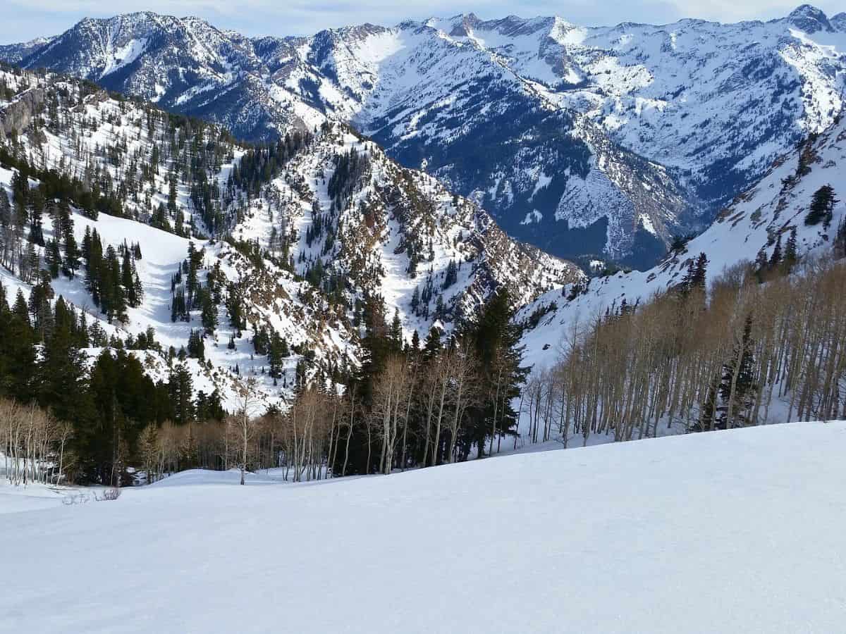 A snowy slope in the Wasatch Mountains of Utah.