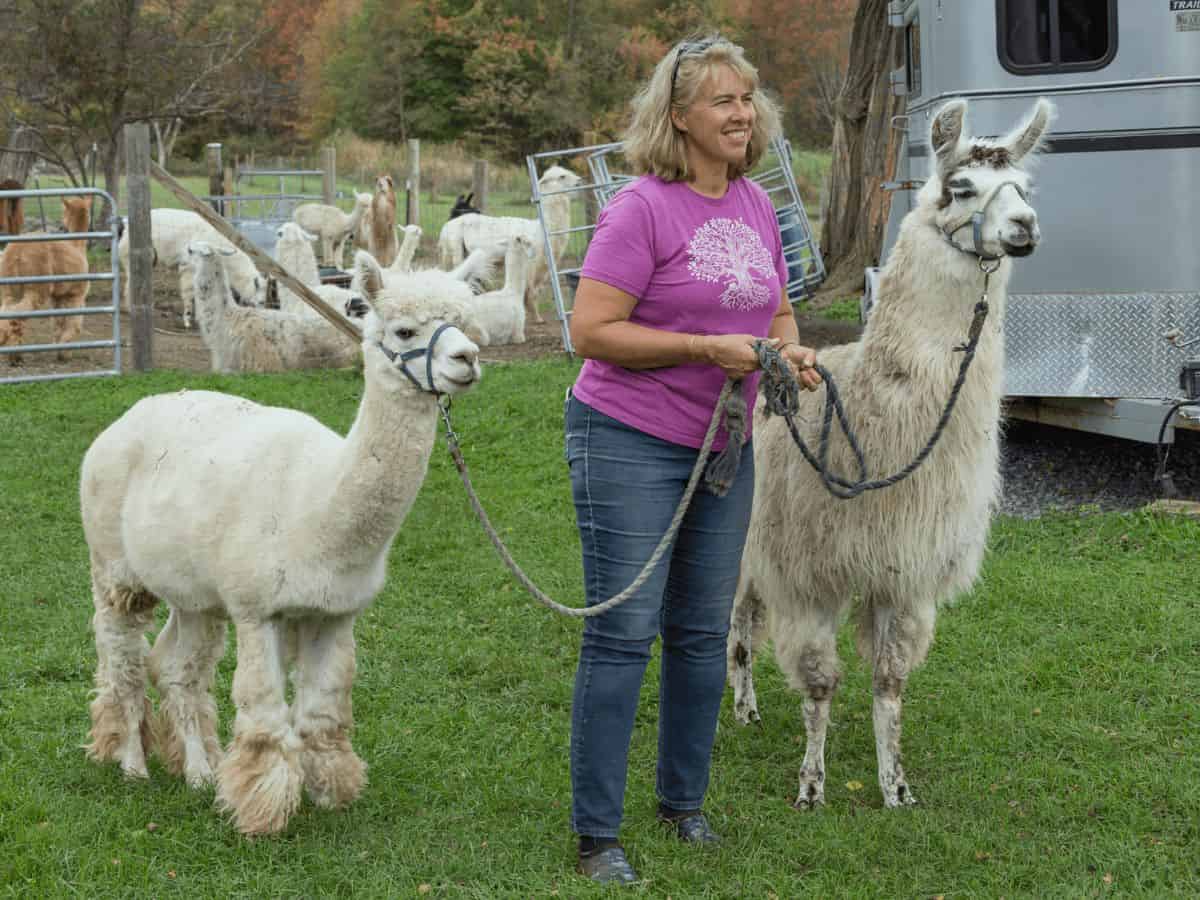 Alpaca Hike and Farm Tour