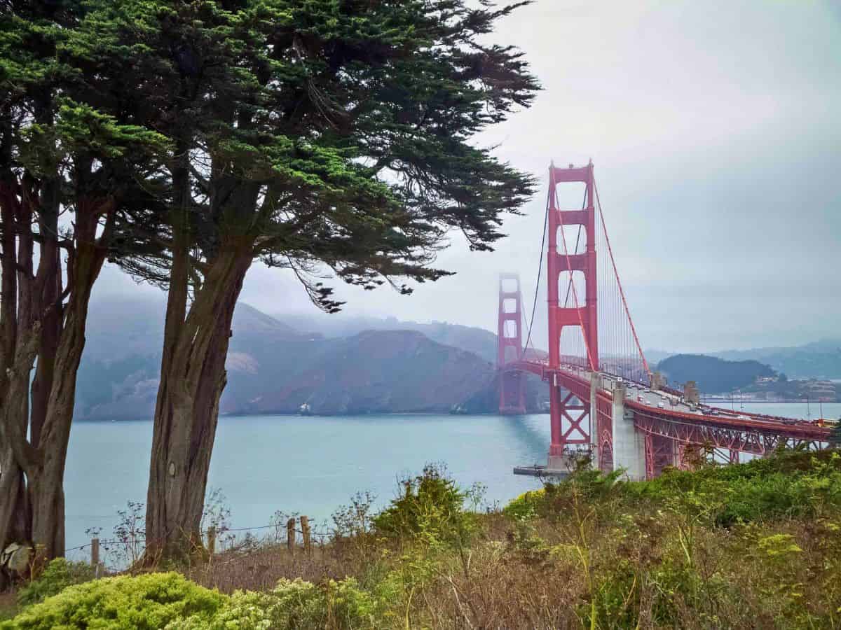San Francisco's Golden Gate Bridge on a foggy day.