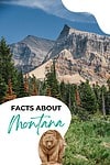 Facts about montana.