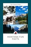 The treasure state montana fun facts.