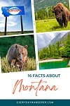 16 facts about montana.