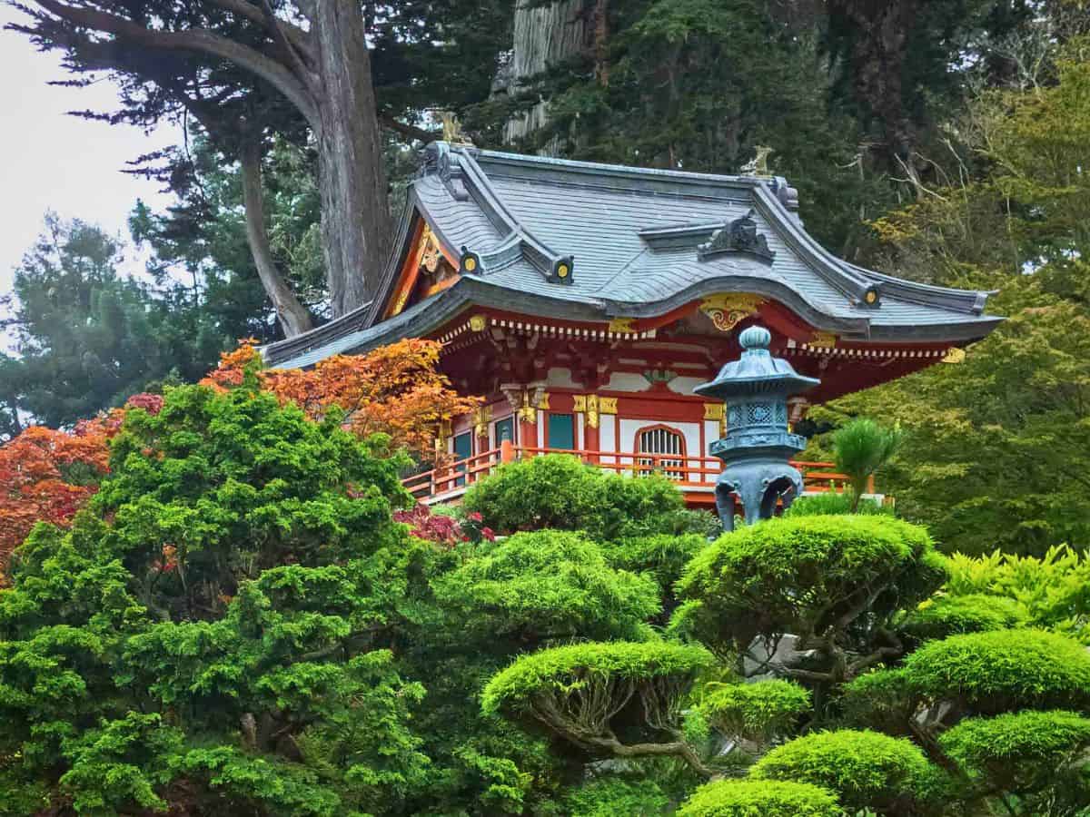 A japanese pagoda surrounded by trees in the Japanese Tea Garden in San Francisco's Golden Gate Park.