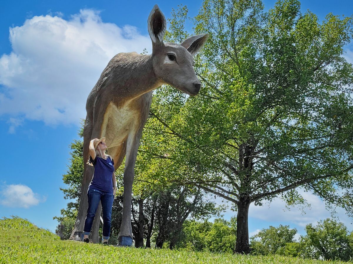 Sage Scott standing next to an oversized sculpture of a deer at Laumeier Sculpture Park​ in St. Louis.