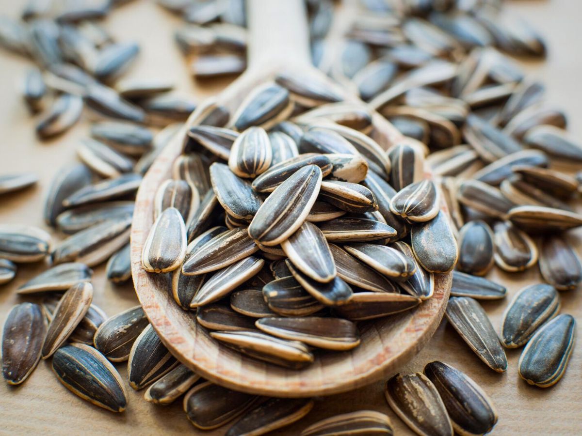 Sunflower seeds on a wooden spoon and scattered on a table.