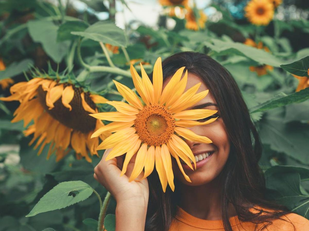 A smiling person holding a sunflower in front of their face in a sunflower field.