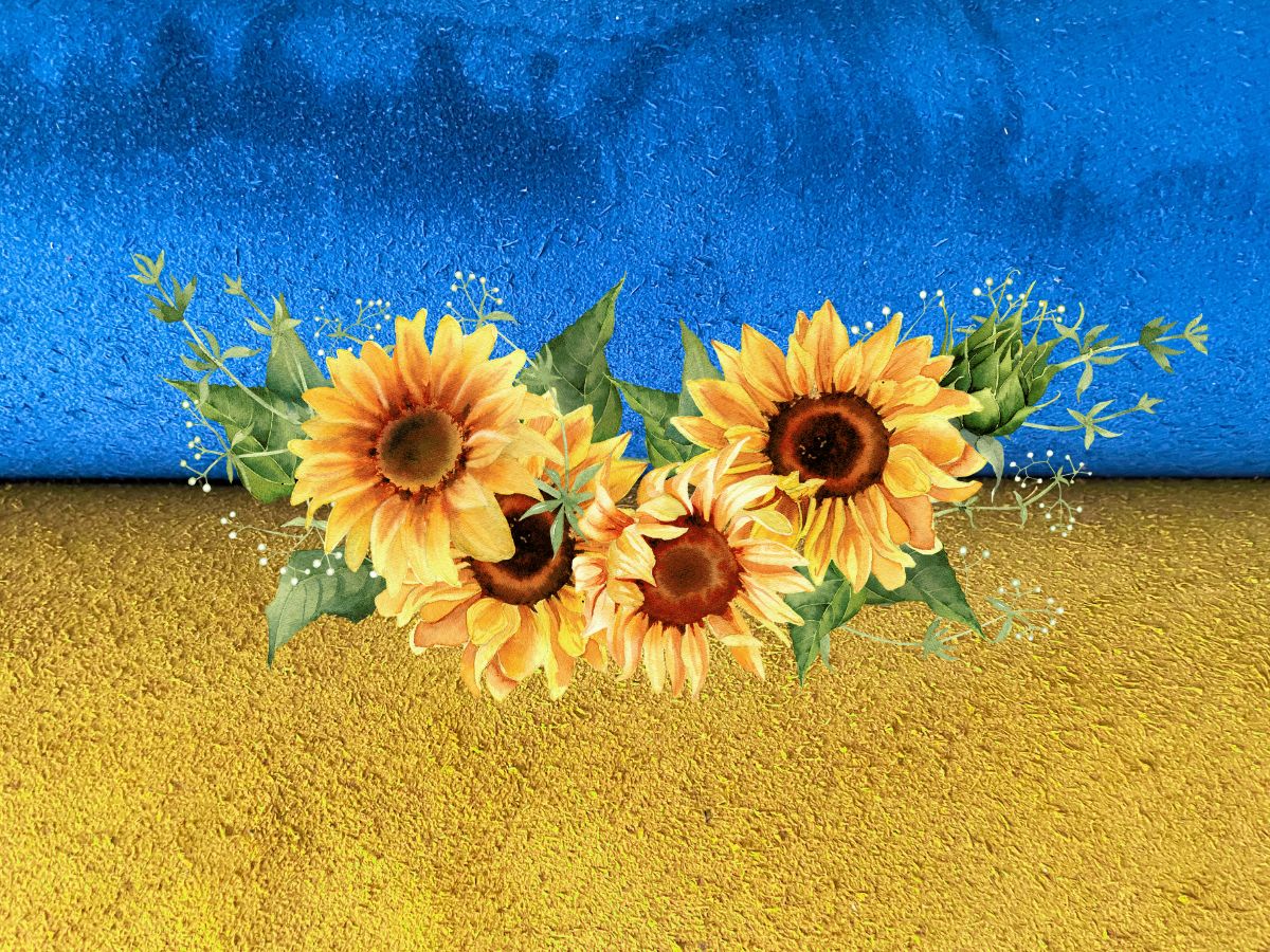 A trio of sunflower illustrations on a dual-tone yellow and blue background.