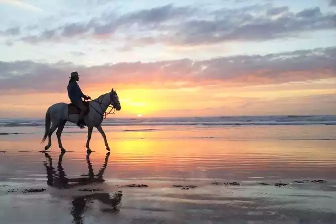 Horse Riding at Sunset in Essaouira