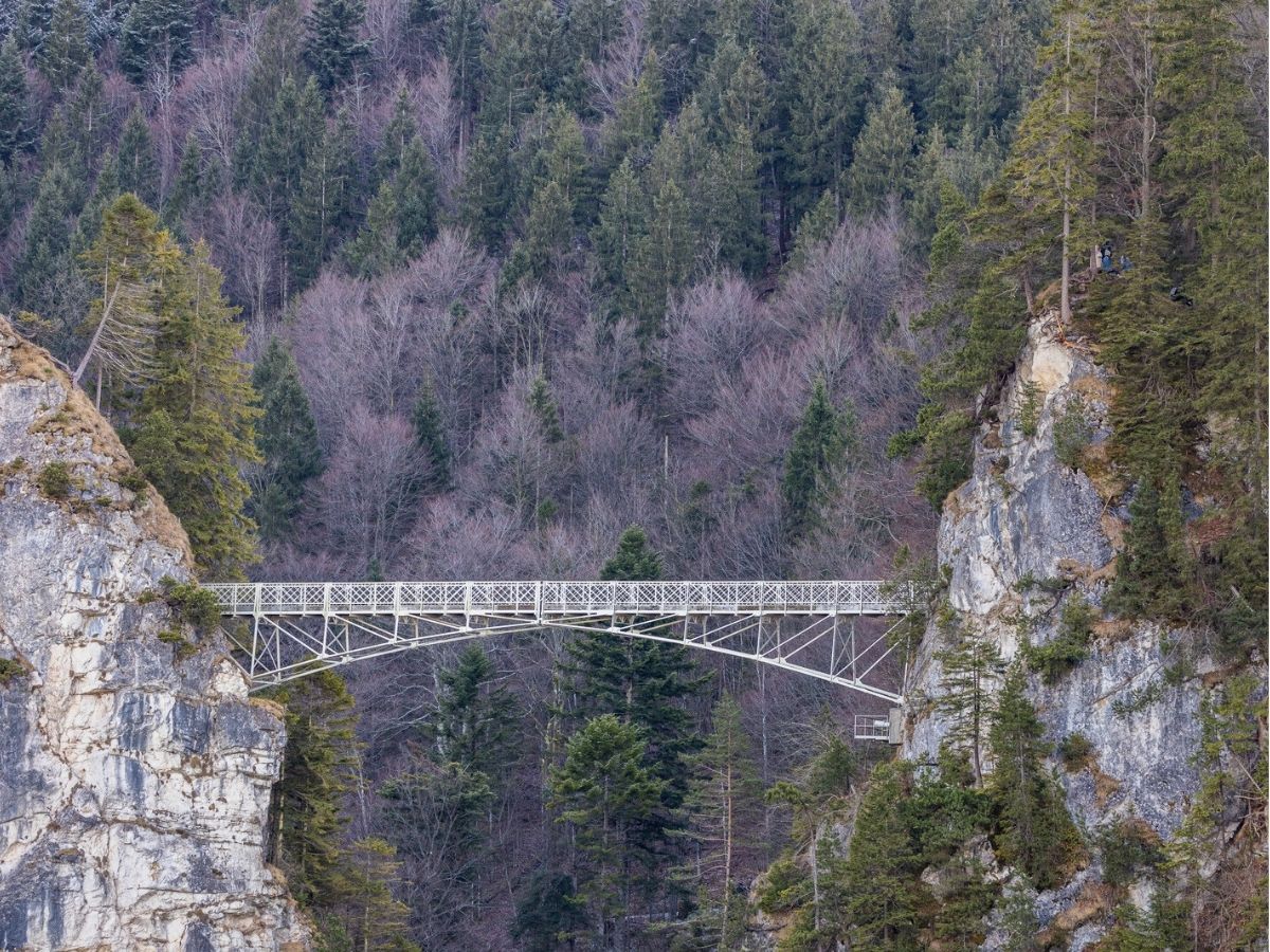 A narrow metal bridge spans a gap between two rocky cliffs with a dense forest of evergreen trees in the background.