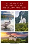 A compilation of three images: a swan by a lake, Neuschwanstein Castle in a forested mountain landscape, and an aerial view of the castle at sunset. Text above reads "How to Plan Your Trip to Neuschwanstein.