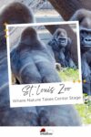 Promotional image for st. louis zoo featuring a close-up of a gorilla in the foreground and another gorilla in the background.