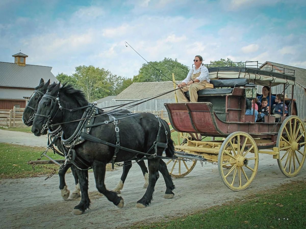 Guests visiting Mahaffie Stagecoach Stop taking a ride in a horse-drawn stagecoach.