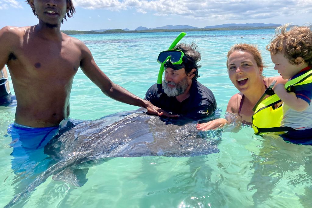 Three adults and a child standing in shallow, clear ocean water with a large stingray. One adult wearing a snorkel mask is touching the stingray. All appear to be enjoying the experience.