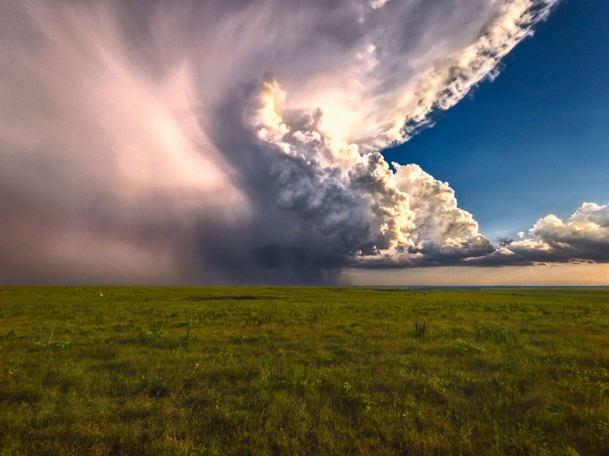 A vast grassy field under a dramatic sky with dark, billowing storm clouds on the left and clear blue sky on the right.