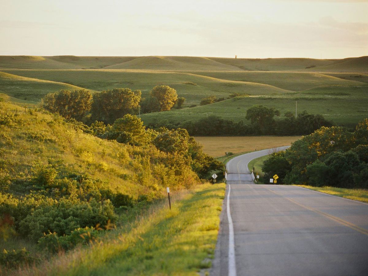 A winding road passes through rolling green hills and trees under a clear sky, lit by soft sunlight.