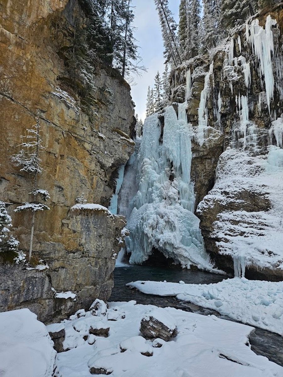 A frozen waterfall cascades down a rocky cliffside surrounded by snow and ice formations, with evergreen trees visible at the top of the cliff.
