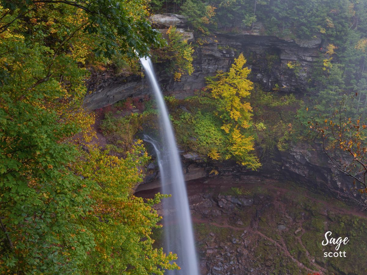 A tall waterfall cascades from a cliff surrounded by green and yellow foliage. The name "Sage Scott" is written in the bottom right corner of the image.