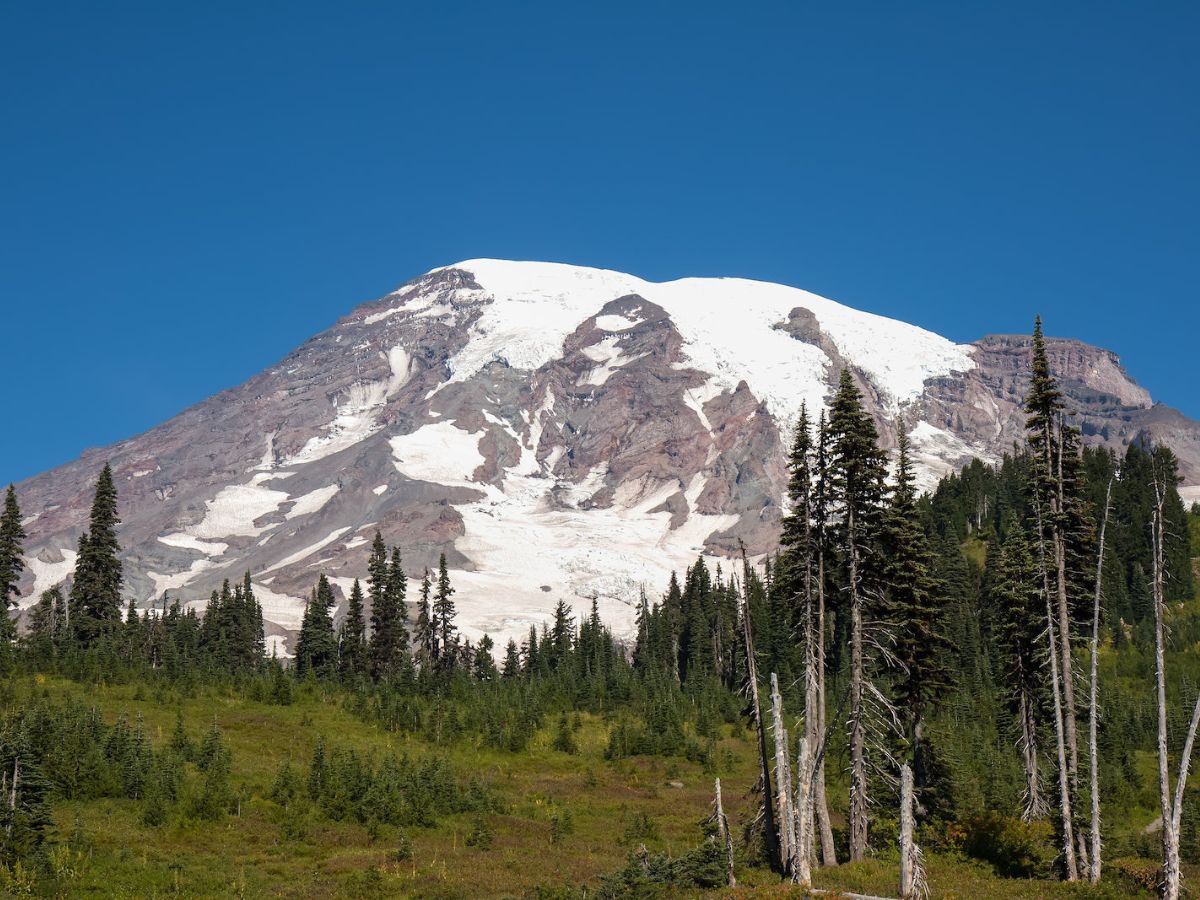 Snow-capped mountain peak with pine trees and green vegetation in the foreground under a clear blue sky.
