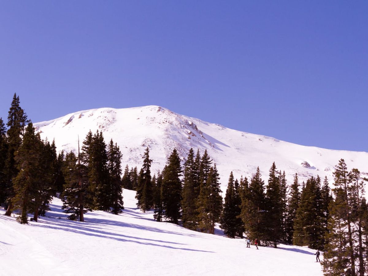 Snow-covered mountainous landscape with pine trees and a few skiers at the base; clear blue sky in the background.