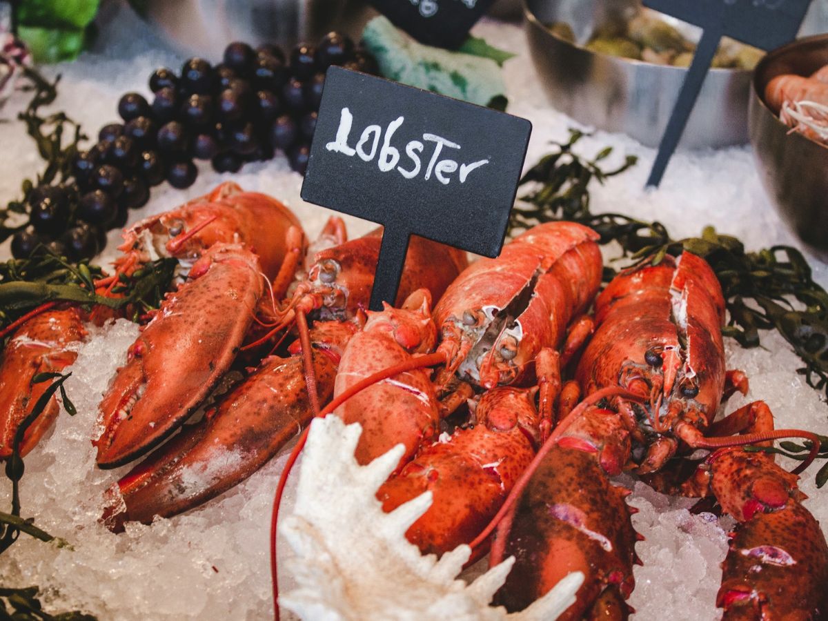 A display of whole lobsters on ice with a sign labeled "Lobster" in a seafood market.