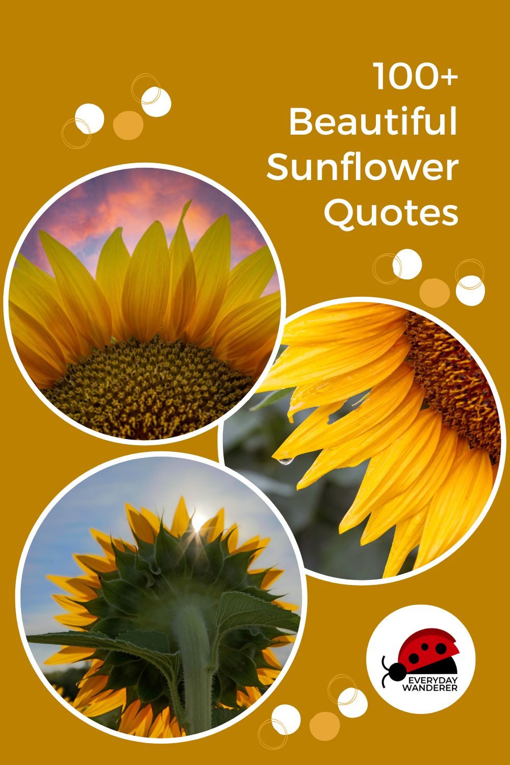 Sunflower Quotes - Pin 2 - JPG