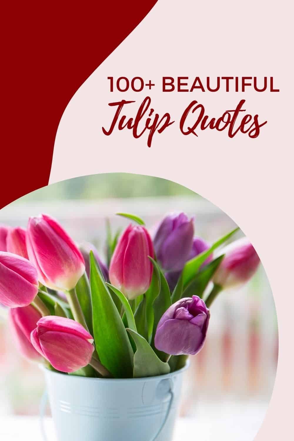 Tulip Quotes - Pin 4 - JPG