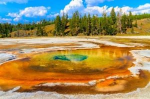 Yellowstone National Park Everyday Postcard